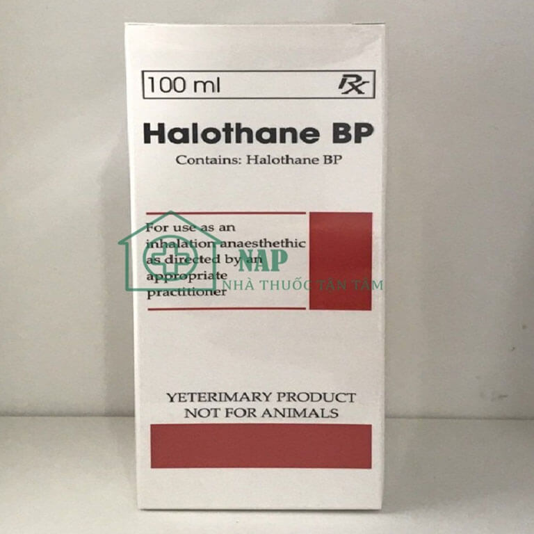 Nên tìm mua thuốc từ những đơn vị uy tín, phân phối hàng chính hãng để đảm bảo mua và sử dụng được hiệu quả và an toàn hơn